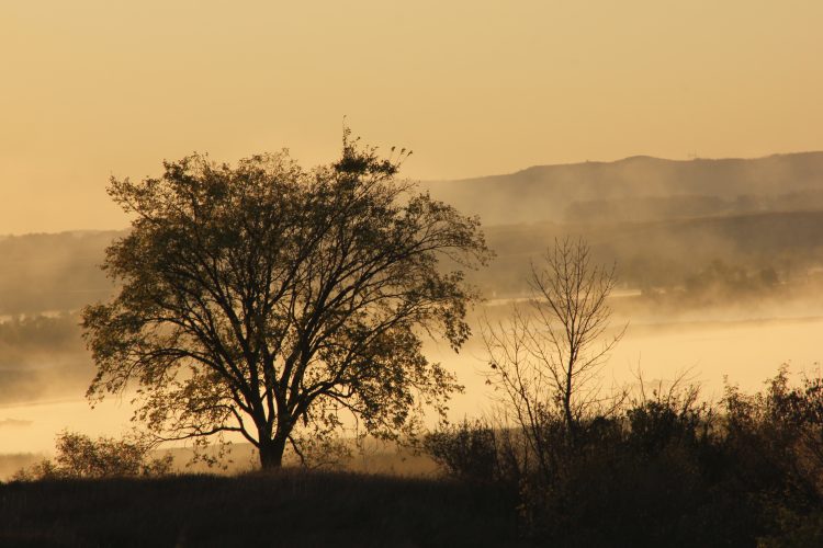 Steam Rising Off Of The River - SkySpy Photos, Images, Video